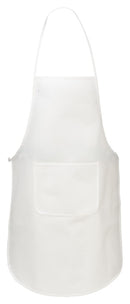 Predpasnik