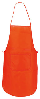 Predpasnik