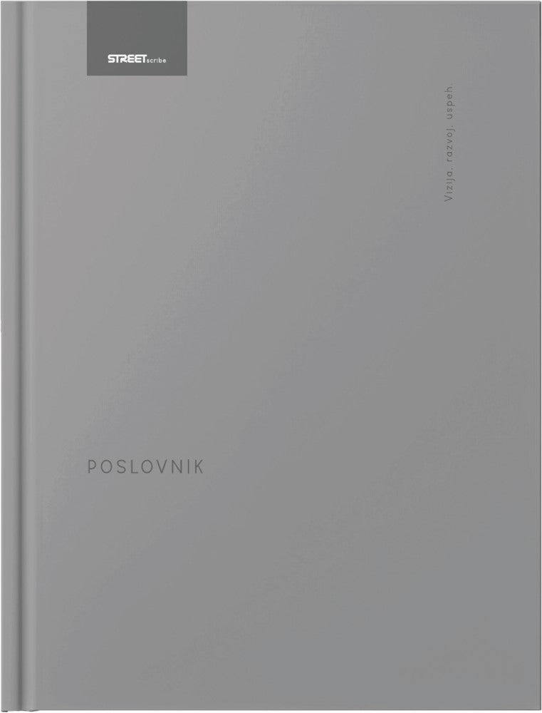 Vizija - siv